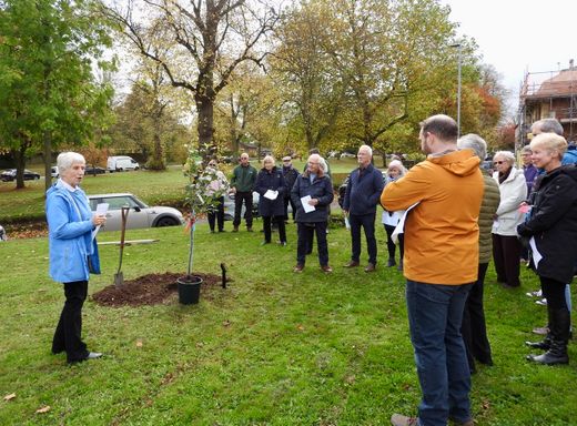 A few words by Jane Gamble our Chair